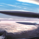 Illustration for article titled Only one artist dares to capture alien creatures in their natural habitat